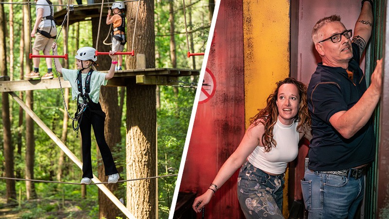 Aktivität / Tagesausflug Hoch und frei auf der Veluwe