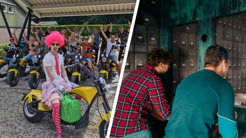 Aktivität / Tagesausflug Ziemlich gemütlich auf der Veluwe