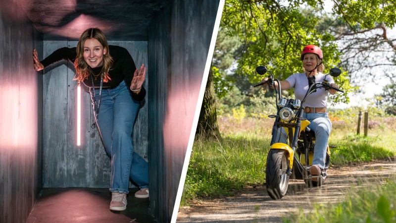 Aktivität / Tagesausflug Ziemlich gemütlich auf der Veluwe